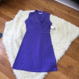 NWT ~PURPLE SLEEVELESS DRESS WITH V NECKLINE AND WIDE WAISTBAND FIT~